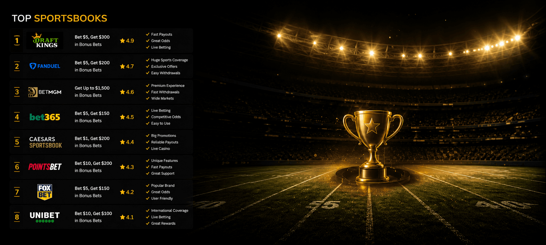 Stadium Background 2